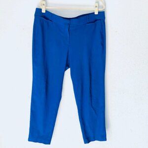 Blue Lane Bryant pants